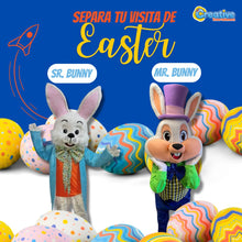Cargar imagen en el visor de la galería, El Sr. y Mr. Bunny (Conejo de pascuas)
