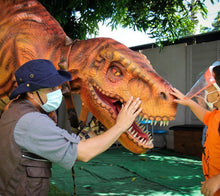 Cargar imagen en el visor de la galería, Dinosaurios